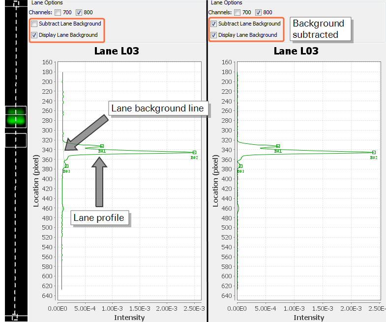 Lane Background Displayed and Displayed After Background Subtraction in the Profiles tab