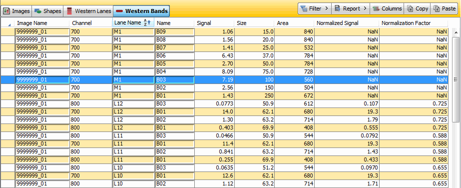 Image Studio western bands data table