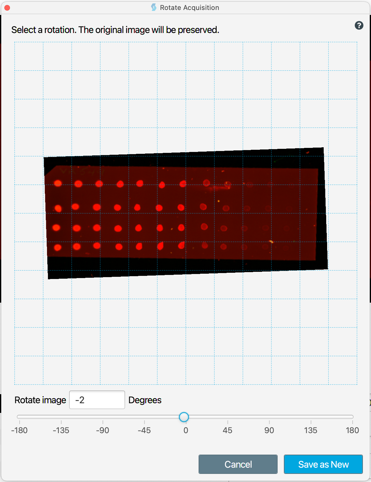 Dot blot after free rotation to horizontally align dots.