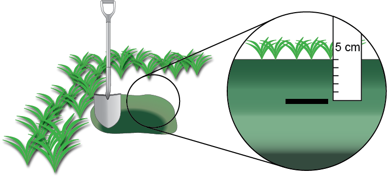 Bury soil heat flux plates at a depth of about 5 cm.