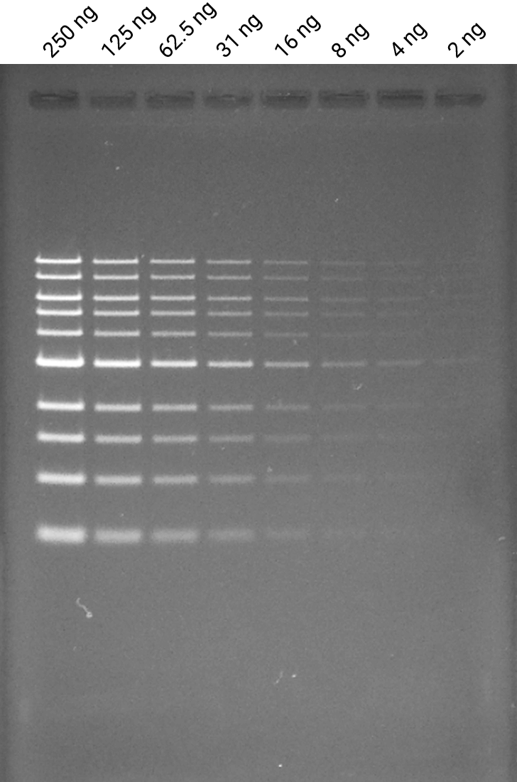 ethidium bromide data