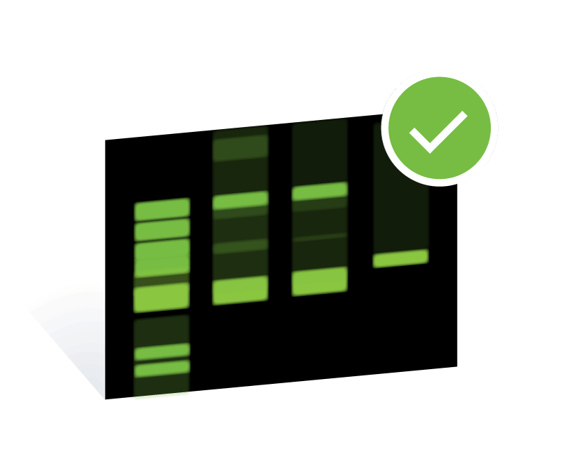 D-DiGit data illustration