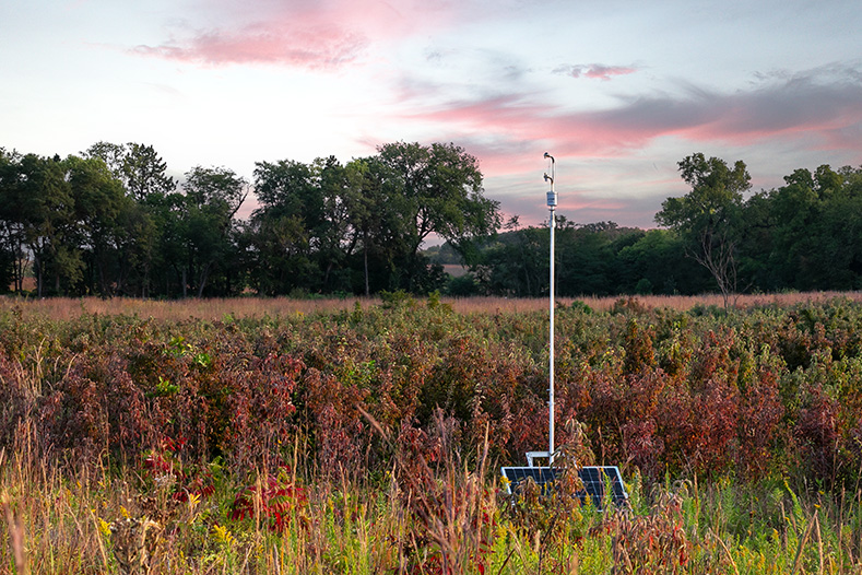 Carbon Node on display in a field