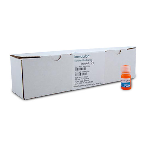 4X Protein Sample Loading Buffer and PVDF Membrane Kit